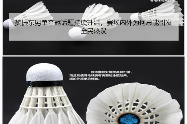 樊振东男单夺冠话题持续升温，赛场内外为何总能引发全民热议